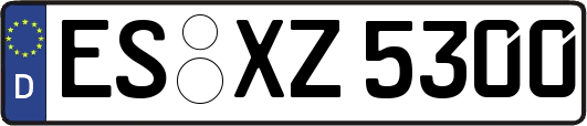 ES-XZ5300