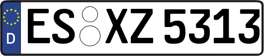 ES-XZ5313