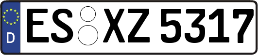 ES-XZ5317