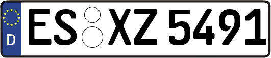 ES-XZ5491