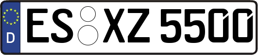 ES-XZ5500