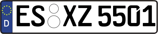 ES-XZ5501