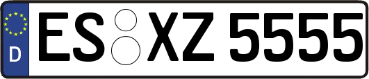 ES-XZ5555