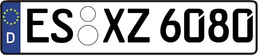 ES-XZ6080