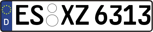 ES-XZ6313