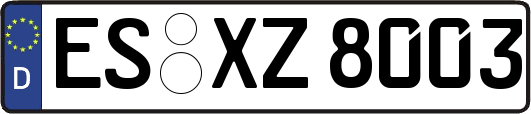 ES-XZ8003