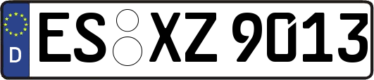ES-XZ9013