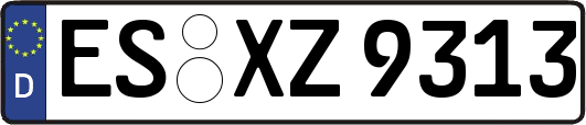 ES-XZ9313