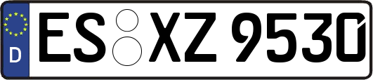 ES-XZ9530