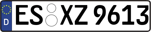 ES-XZ9613