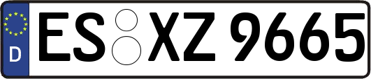 ES-XZ9665