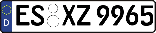 ES-XZ9965