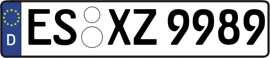 ES-XZ9989