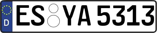 ES-YA5313