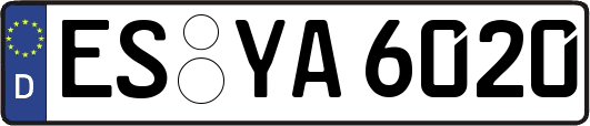 ES-YA6020