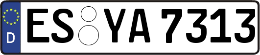 ES-YA7313