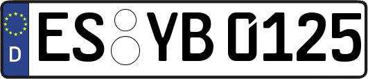 ES-YB0125