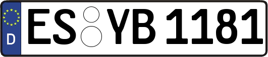 ES-YB1181
