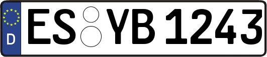ES-YB1243