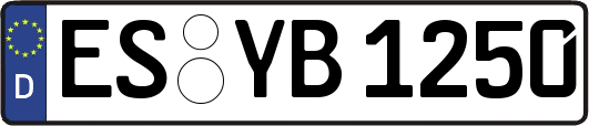 ES-YB1250