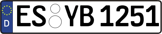 ES-YB1251