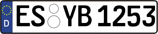 ES-YB1253
