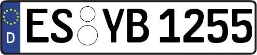 ES-YB1255