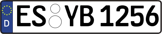 ES-YB1256