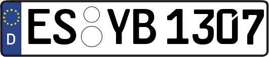 ES-YB1307