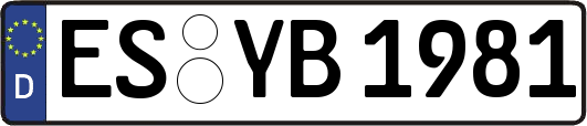 ES-YB1981