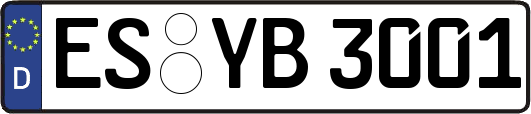 ES-YB3001