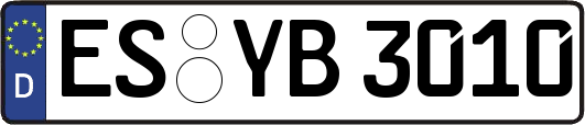 ES-YB3010