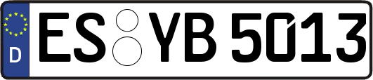 ES-YB5013