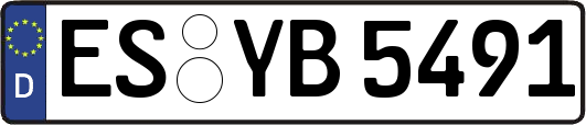 ES-YB5491