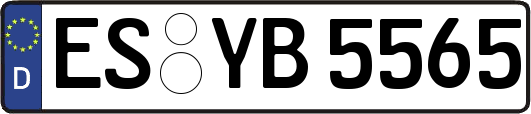 ES-YB5565