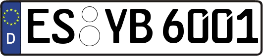 ES-YB6001