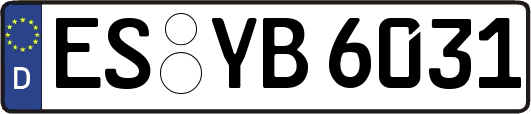 ES-YB6031