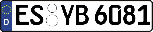 ES-YB6081