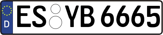 ES-YB6665