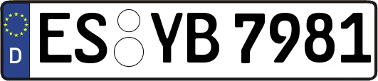 ES-YB7981