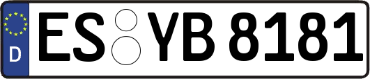 ES-YB8181