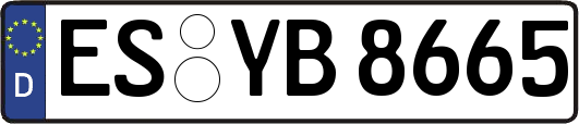 ES-YB8665