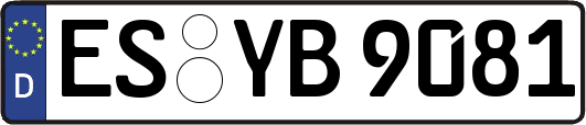 ES-YB9081