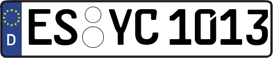 ES-YC1013