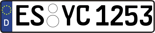 ES-YC1253