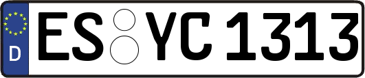 ES-YC1313