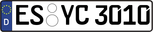 ES-YC3010