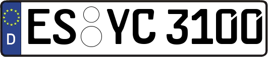 ES-YC3100