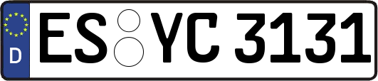 ES-YC3131