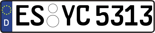 ES-YC5313